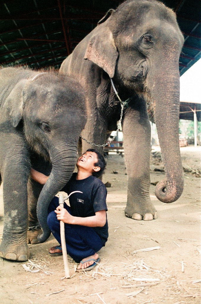 034_Elephant and boy